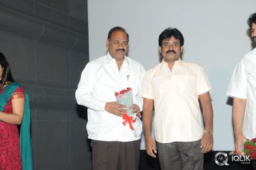 Cut Chesthe Movie Audio Launch